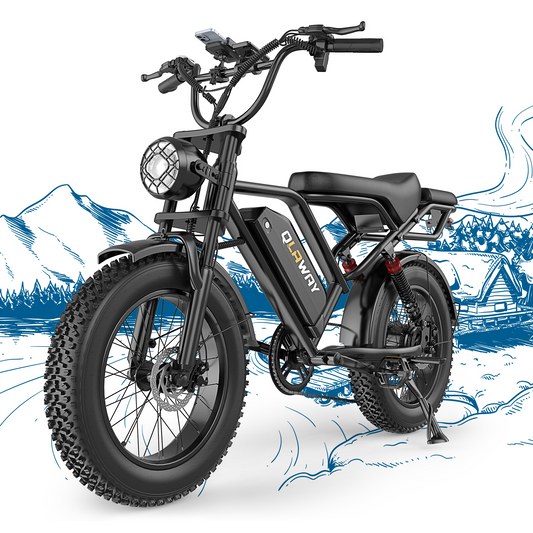 Qlaway BK20 Fat Tire Electric Dirt Bike for Adults 48V 15.6AH Battery 750W Brushless Motor-US