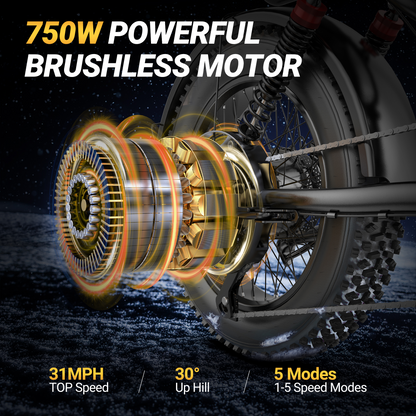 Qlaway BK20 Fat Tire Electric Dirt Bike for Adults 48V 15.6AH Battery 750W Brushless Motor-US